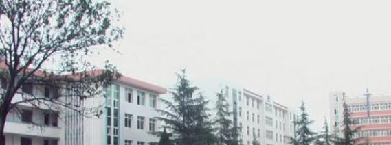 勉县二中2020年报名条件、招生要求、招生对象