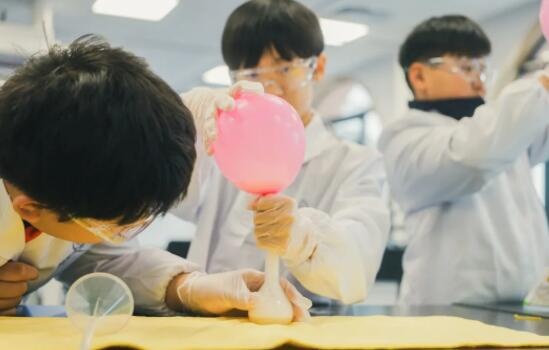 南京威雅学校数理化教学模式