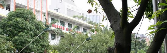 广西商贸高级技工学校怎么样、好不好