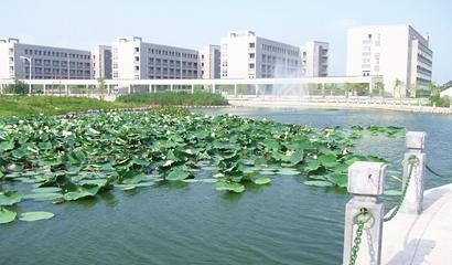 平湖中学-圣玛丽国际部