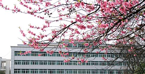 恩施职业技术学院1