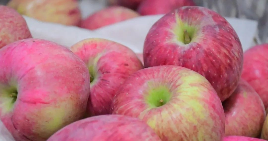 石家庄军兴信息工程学校