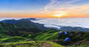 生命状态