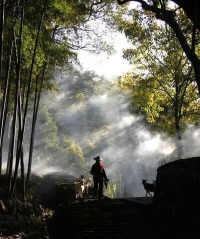 中加枫华国际学校家长:相信的力量、用心的看见