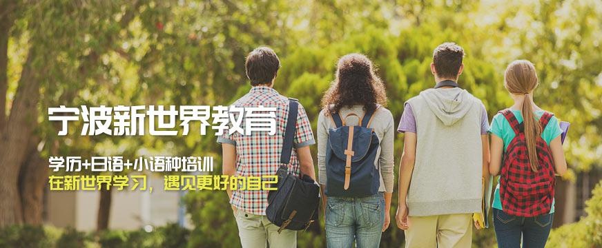 宁波新世界教育怎么样