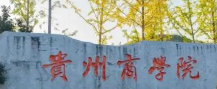 贵州商学院学校代码是11731(学校代码)