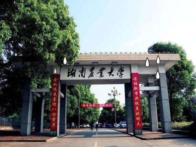学校大门