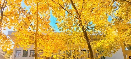 南京机电职业技术学院怎么样、好不好