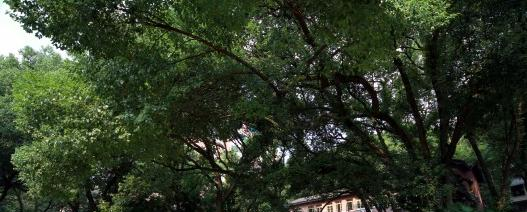 福建幼儿师范高等专科学校2