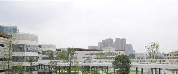 成都蒙彼利埃小学2023年学费标准2