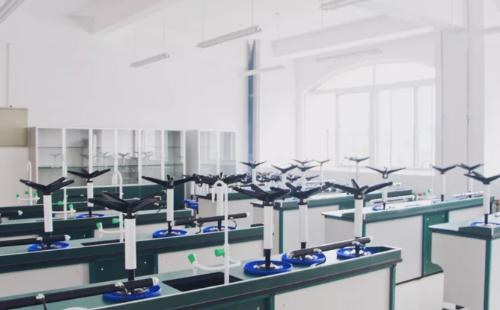 西咸新区空港枫叶国际学校