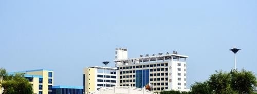 烟台职业学院单招