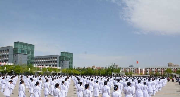 大同卫生学校网站