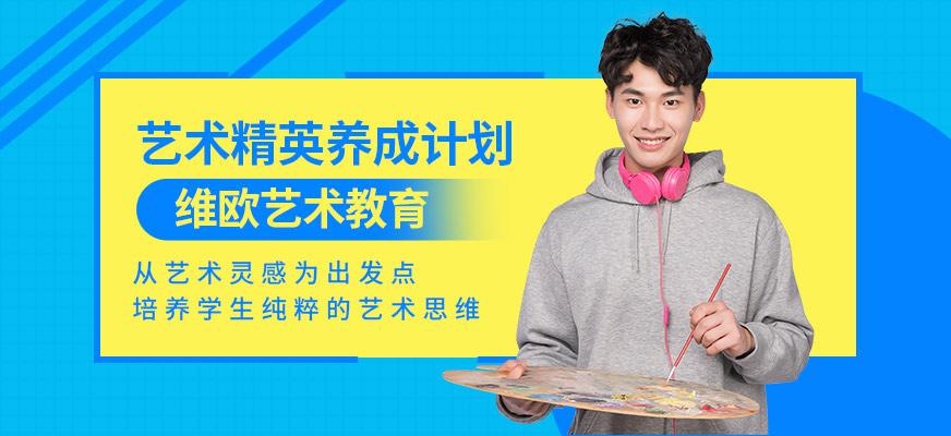 艺术精英养成计划