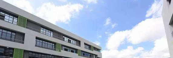 宁波国际学校小学部网站