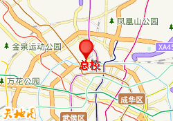 总校