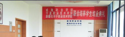 新疆石河子职业技术学院单招成绩查询时间