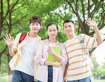 适合人群