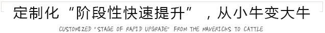 设计定制化快速提升
