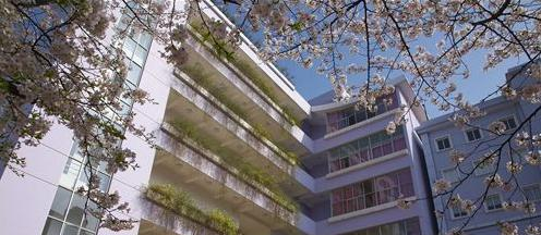 湖北艺术职业学院2