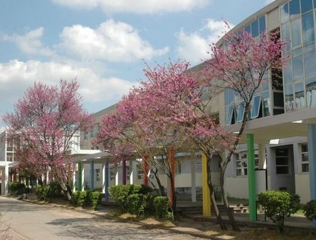 蒙波利埃综合理工学校