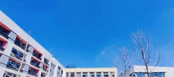 北京天悦学校小学部2023年录取分数线