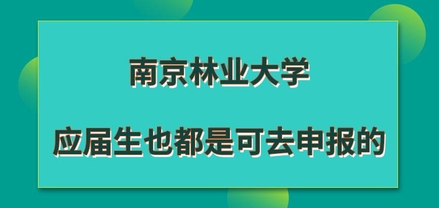 南京林业大学在职研究生应届生是也可去申报吗