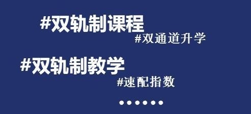 双轨制课程.jpg