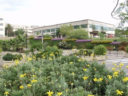 墨西拿大学