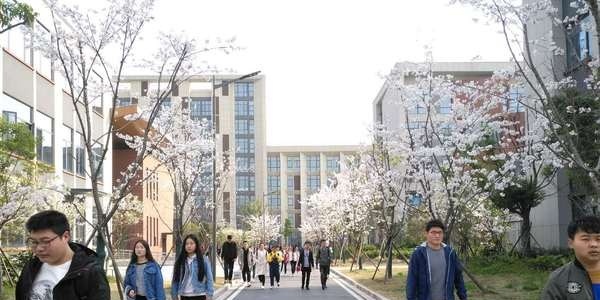 泰州职业技术学院2020年报名条件、招生要求、招生对象