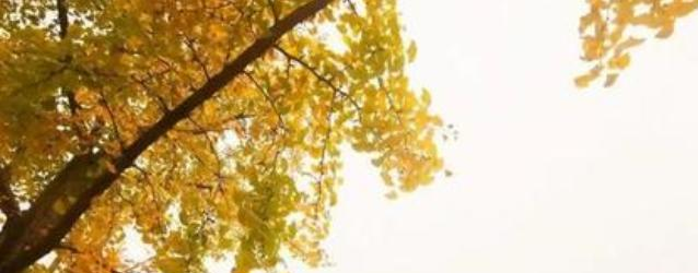 崇州廖家中学2021年招生简章