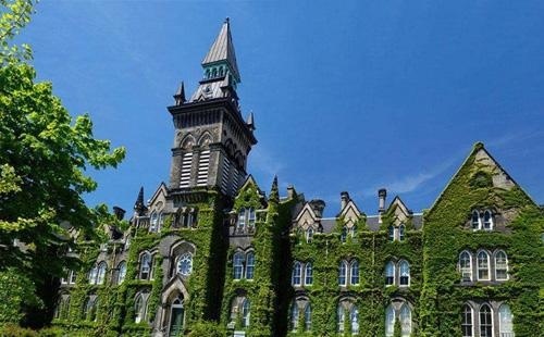 多伦多大学