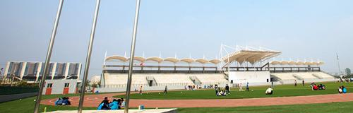 渭南职业技术学院2020年有哪些专业