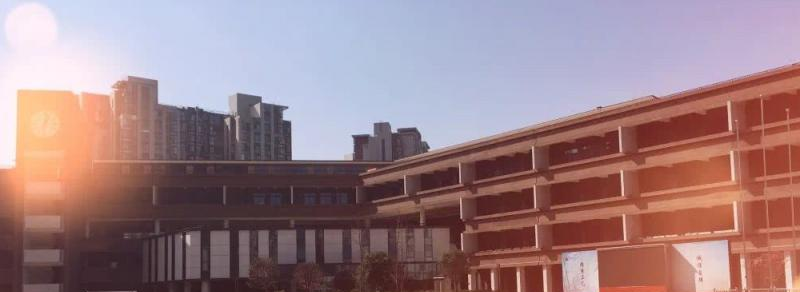树德4
