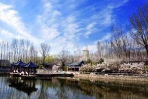 橘郡国际学校（北京校区）校园早春