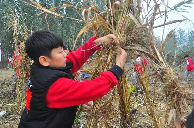   北大益田同文学校秋季在地课程：一扇认识自然的大门