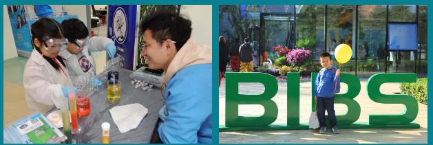    BIBS青苗国际双语学校后疫情时代的教育变革 
