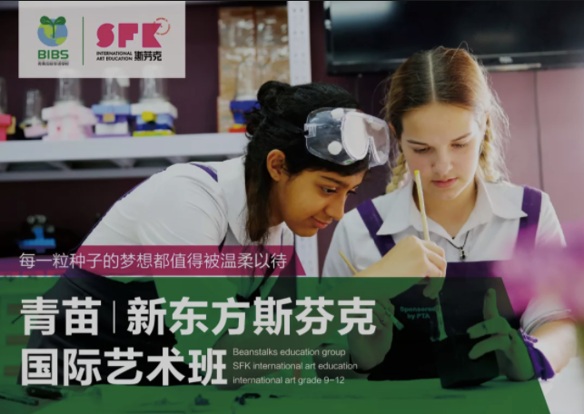   青苗艺术爬藤项目：精准目标，一击即中 BIBS Art Vine Project