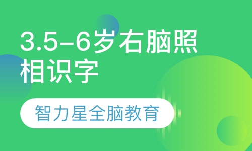 3.5-6岁右脑照相识字