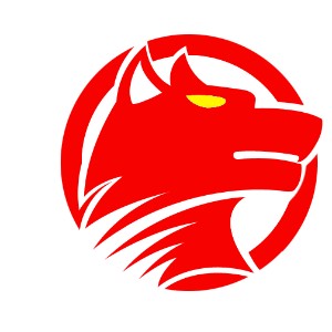 深圳智狼邦演讲口才培训