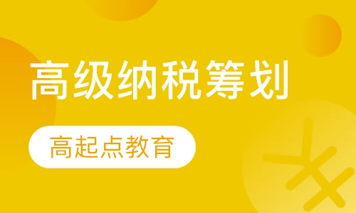 高级纳税筹划