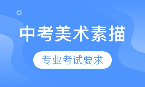 中考美术素描