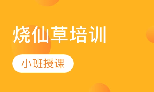 烧仙草培训