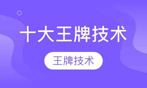 十大王牌技术课程