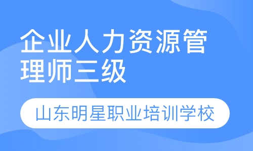 三级企业业人力资源管理师