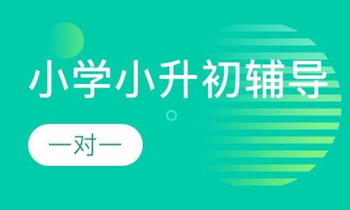 小学一对一小升初辅导