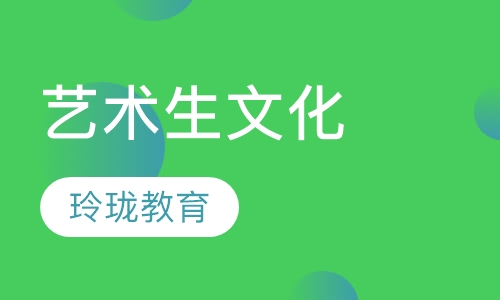 艺术生文化