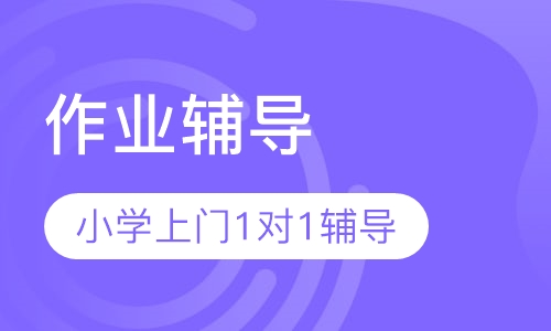 作业辅导