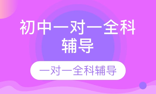 初中一对一全科辅导