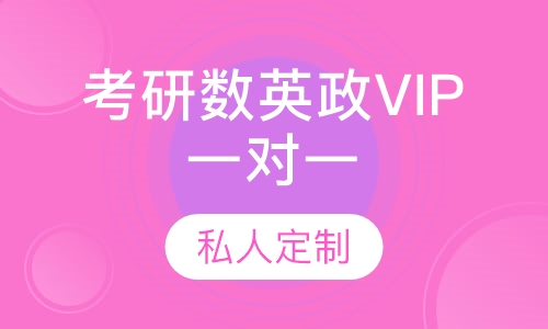 考研数英政VIP一对一